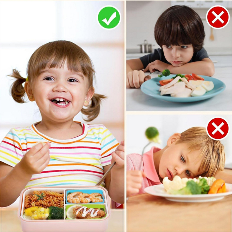 8PCS Silicone Lunch Box Divide - Silicone Baking Mat review and price