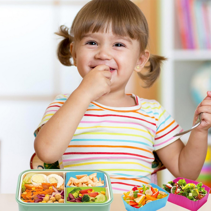 8PCS Silicone Lunch Box Divide - Silicone Baking Mat review and price